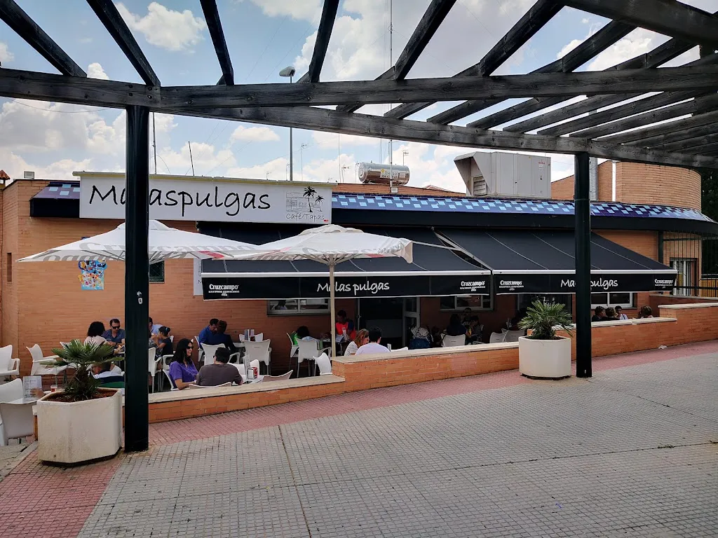 Malaspulgas Café Tapas restaurant in Alcalá de Guadaira