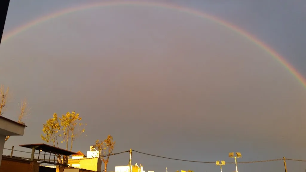 Paco Bar restaurant in Alcolea del Río