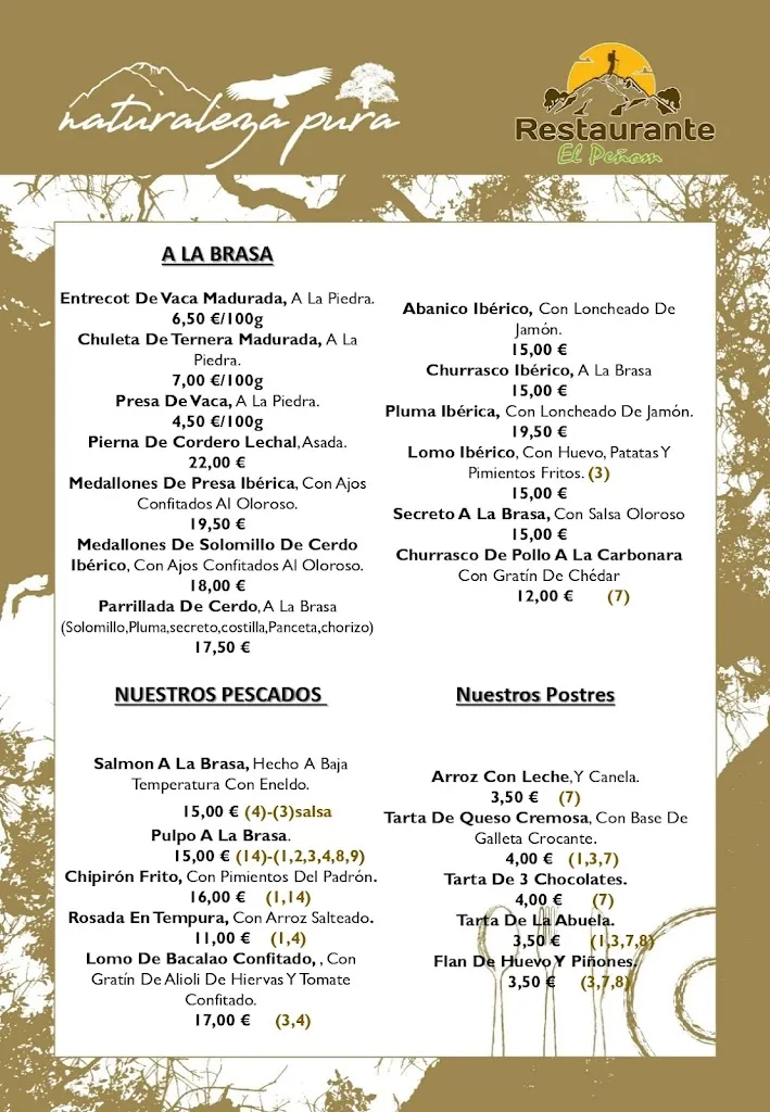 Menu_Restaurante Camping de Algamitas Peñon_Algámitas_immagine_1