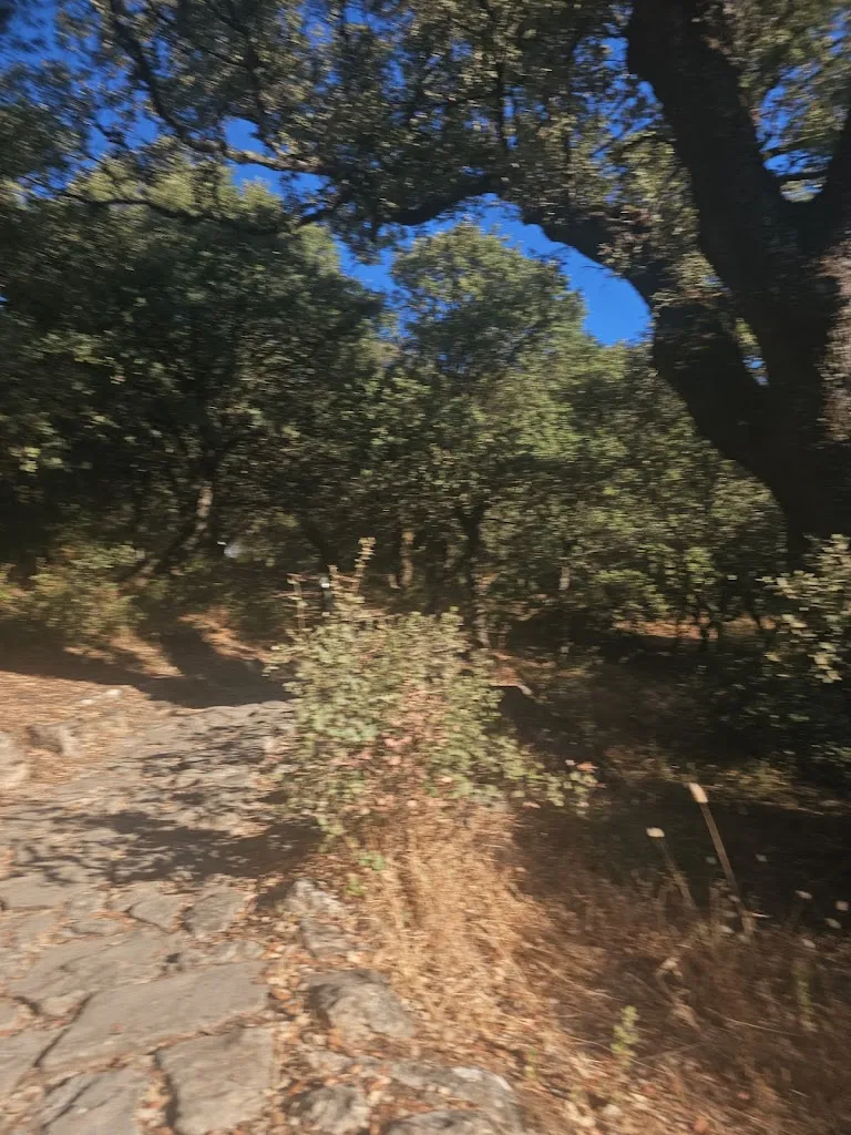 S._Camping El Penon_Algámitas_review