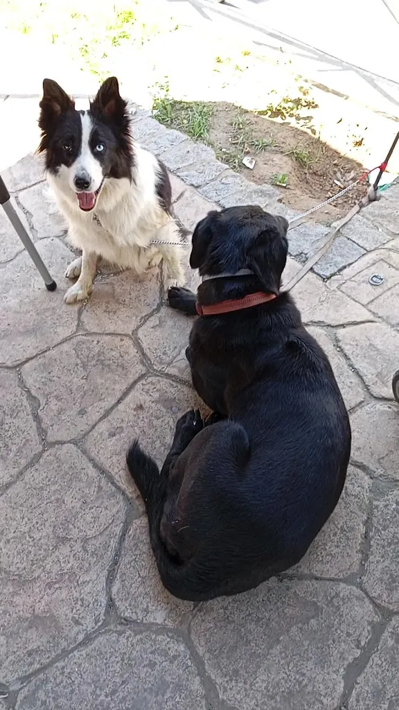 Bar La Morena_Almadén de la Plata_slider_image_2