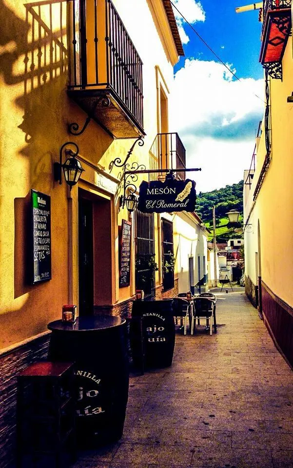 Mesón Restaurante El Romeral_Almadén de la Plata_slider_image_3