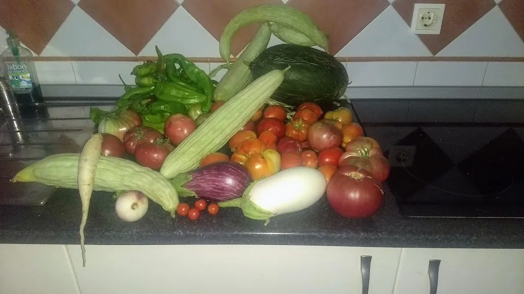 Menu_Bodega JM_Algaba La_image_6