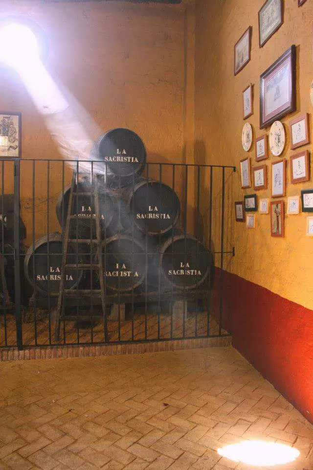 Bodega La Sacristía_Almensilla_slider_image_3