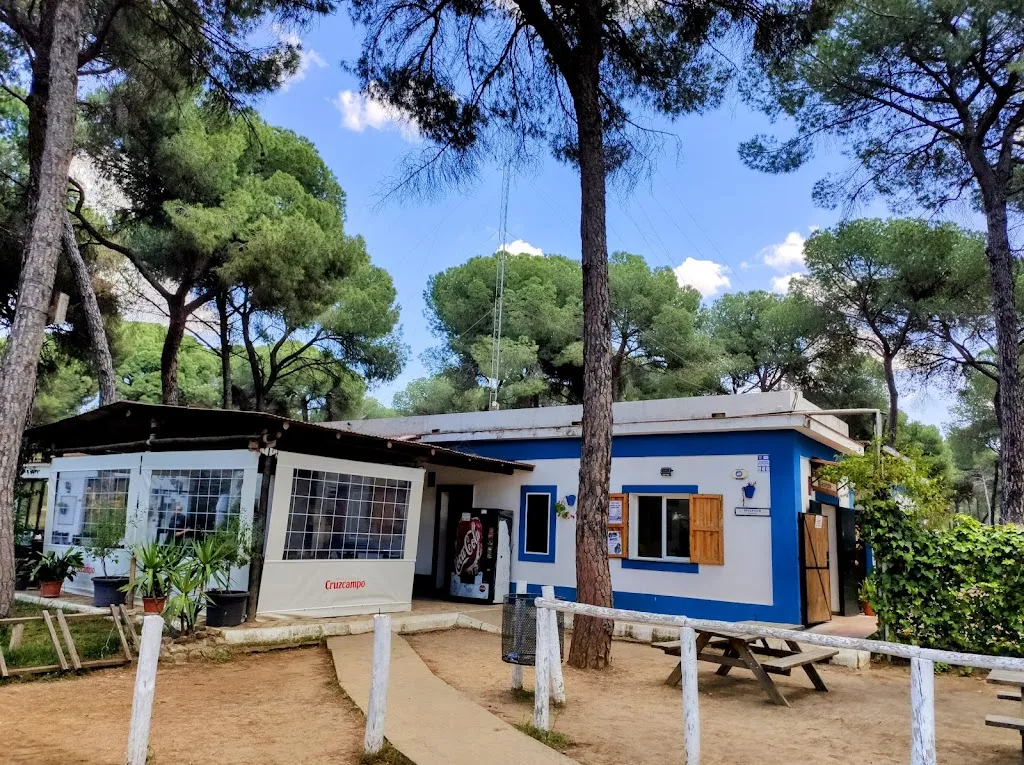 Rafa MB_Bar Restaurante Dehesa Nueva_Aznalcázar_review