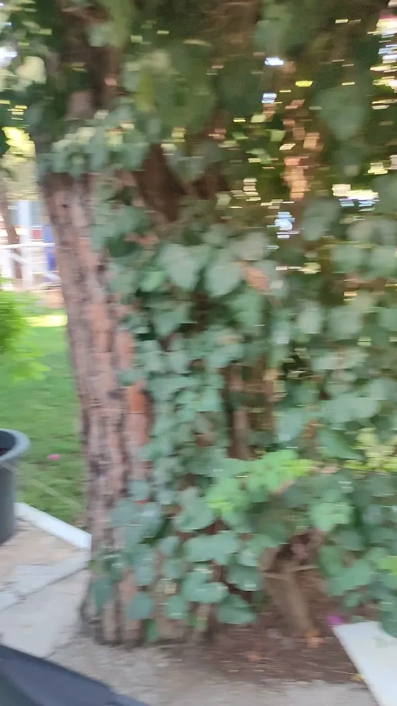 Bar Restaurante Dehesa Nueva_Aznalcázar_slider_image_2