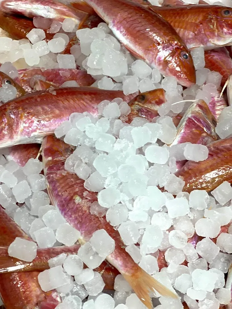 Menu_Bar-Cervecería Tito Chico_Aznalcóllar_immagine_4