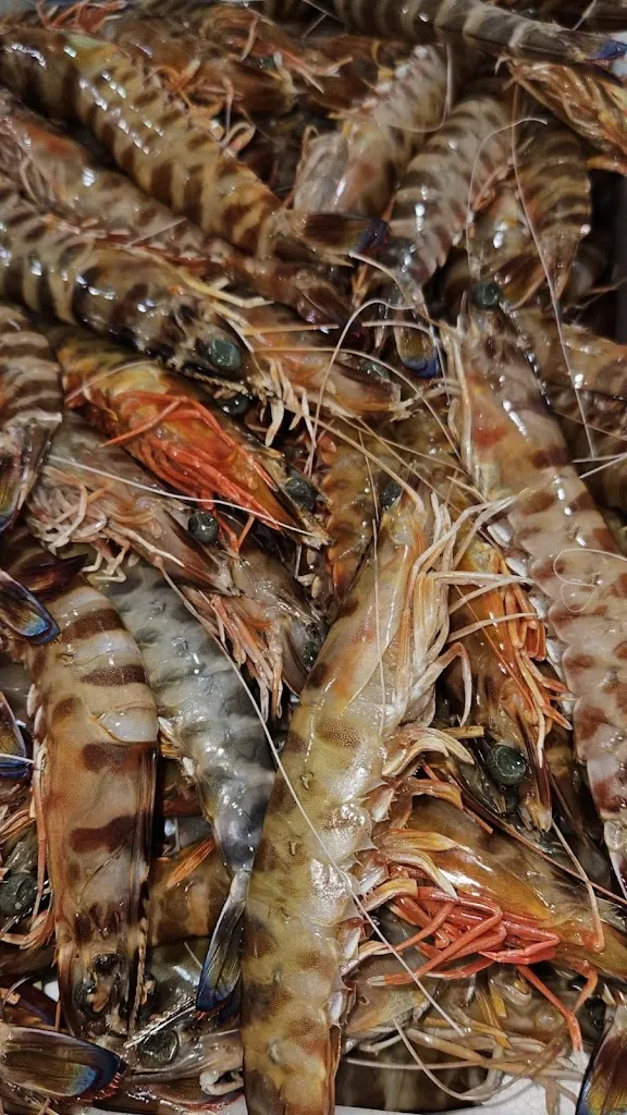 Menu_Bar-Cervecería Tito Chico_Aznalcóllar_immagine_7