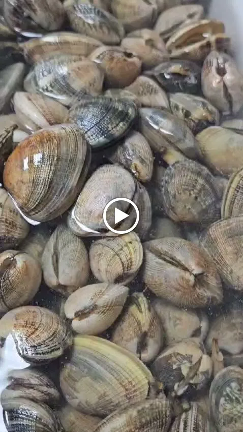 Bar-Cervecería Tito Chico_Aznalcóllar_slider_image_2