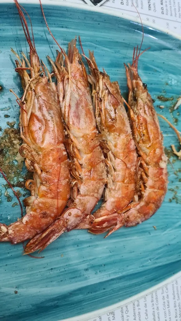 Bianca_Bodega La Mazaroca_Arahal_review