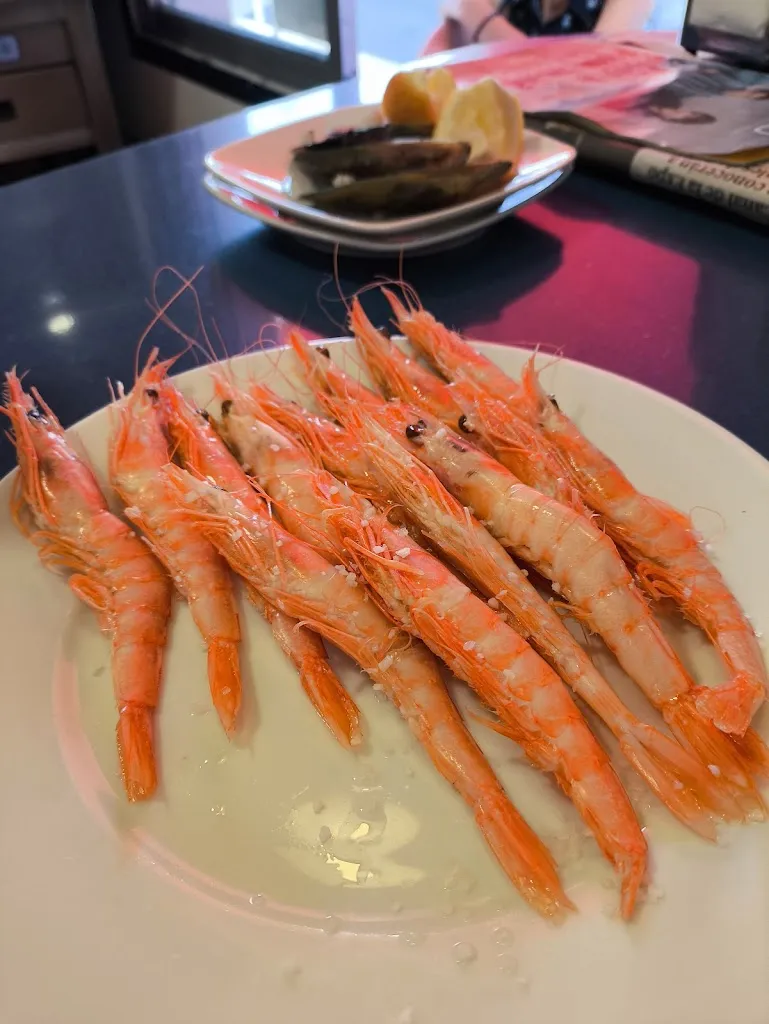 Serdar yılmaz_Cervecería La Favorita_Benacazón_review