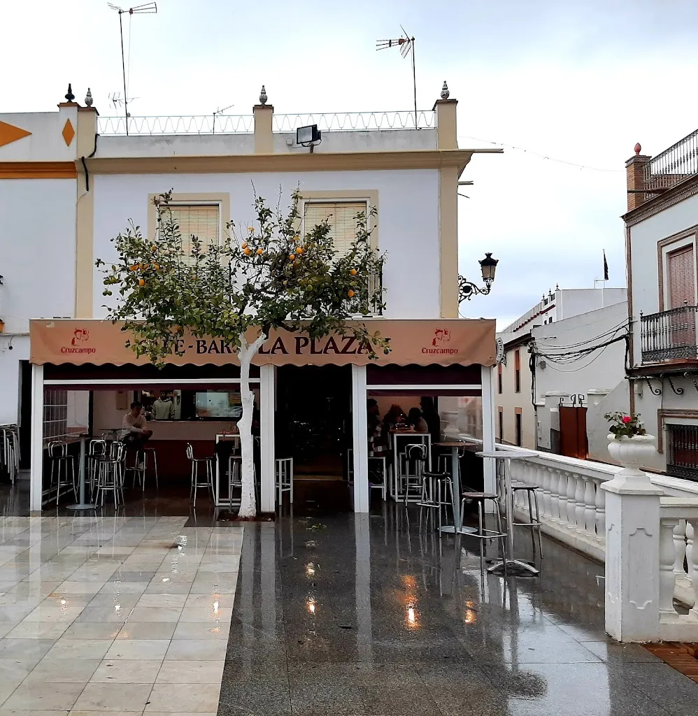 Wolfgang S._Café-Bar La Plaza_Benacazón_review