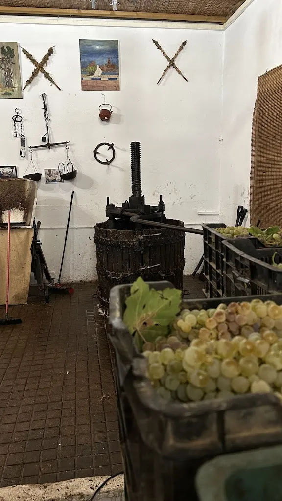 Rafaela Mondadori_Bodega Pepe Girón_Bormujos_recensione