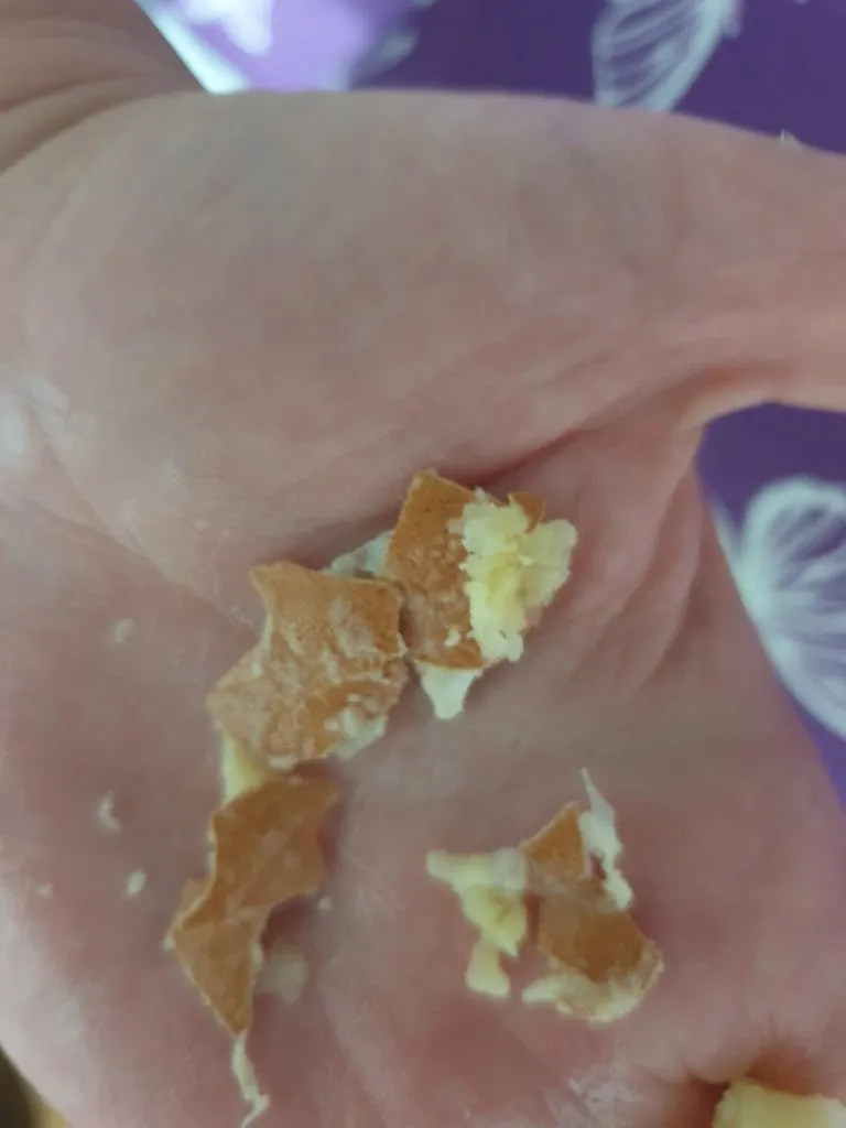 Rociito Ramiirez_Comidas la Avenida, S.C._Bormujos_review