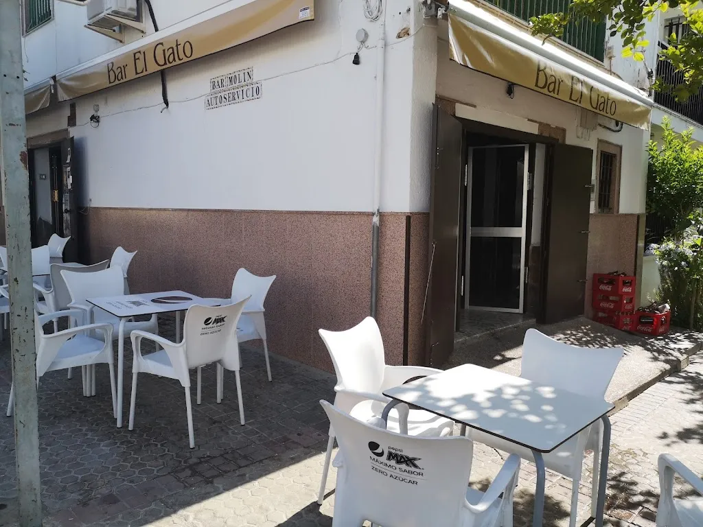 Bar El Gato restaurant in Burguillos