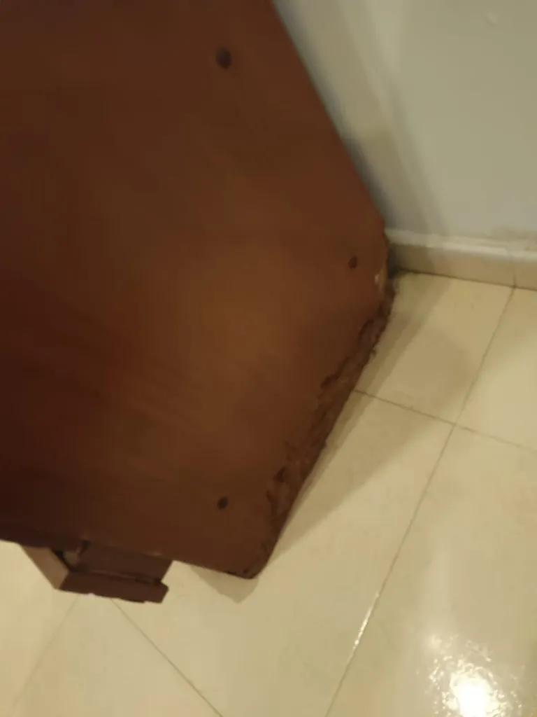 Amelia Delgado Rodrigez_Hostal Restaurante Hermanos Moyano_Cantillana_review