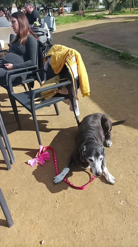 Barbara Rodriguez Galvez_Kiosko El Señorío_Castilleja de Guzmán_review