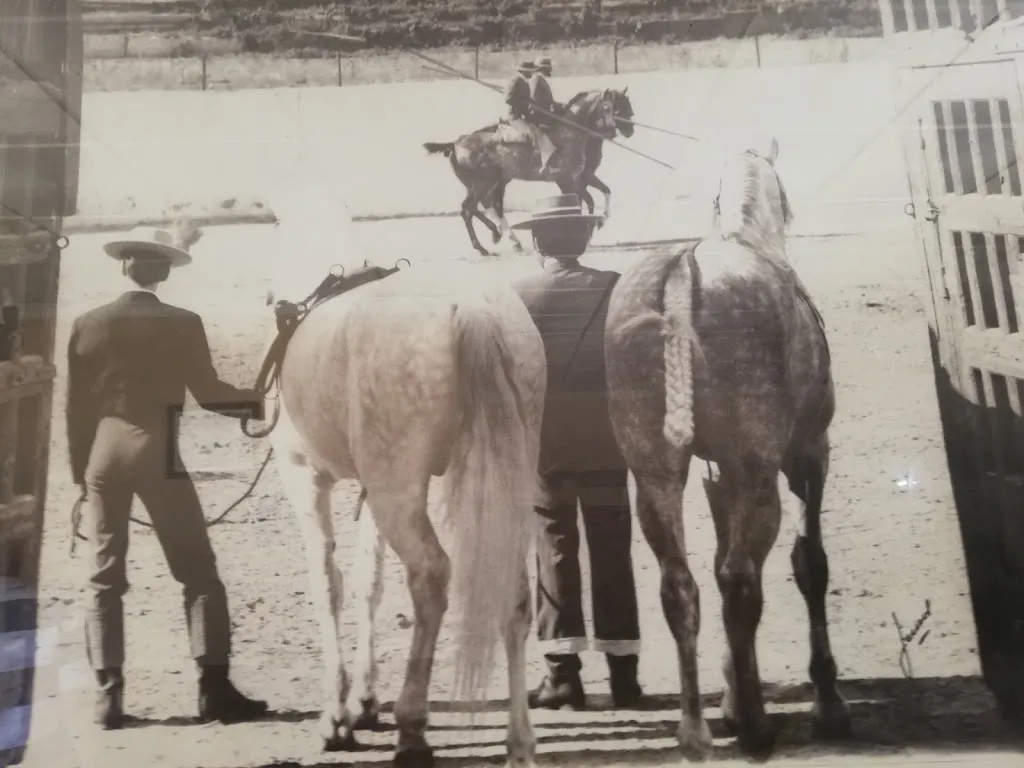 Benna Pinder_Restaurante Venta el Tentaero de Carmona_Carmona_review