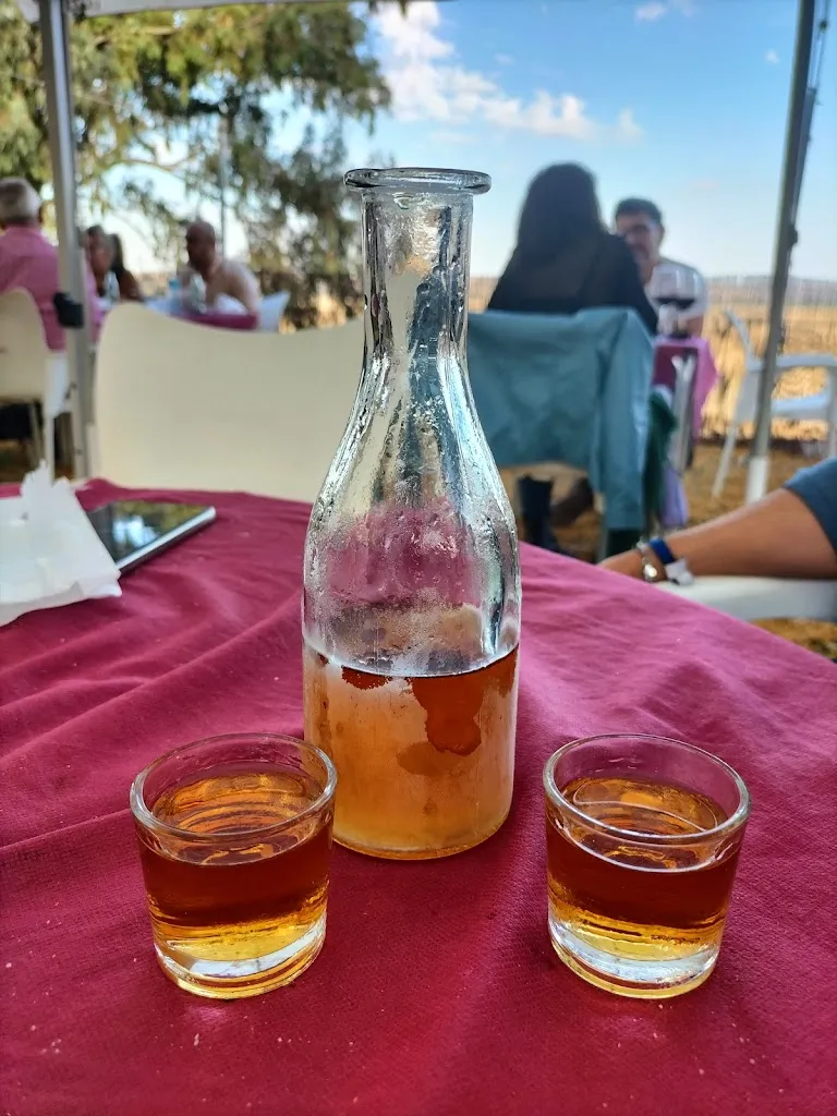 lucia valencia_Restaurante Venta el Tentaero de Carmona_Carmona_review