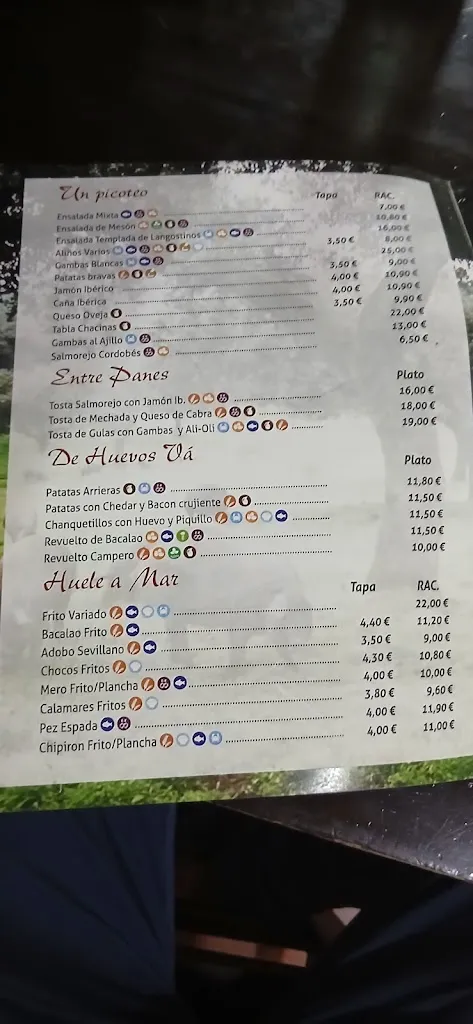 Menu_Mesón Serrania_Carmona_image_2