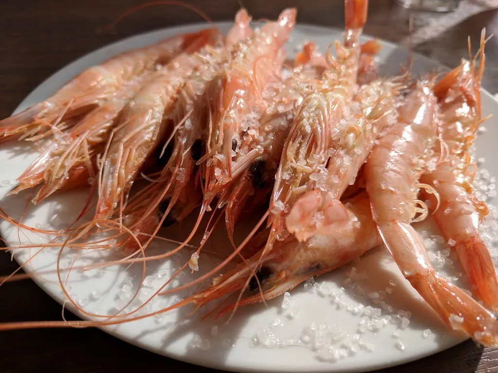 Anna Vainer_Bodeguita Fali II_Constantina_review