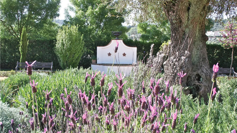 Restaurante Cortijo Vistalegre_Cazalla de la Sierra_slider_image_3