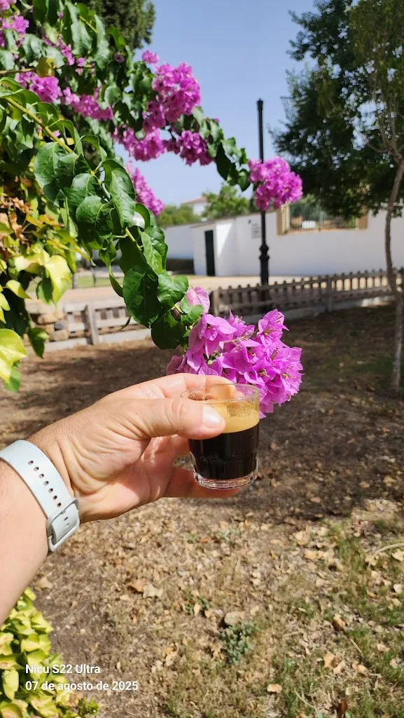 niko rusan_Ortega_Coripe_review