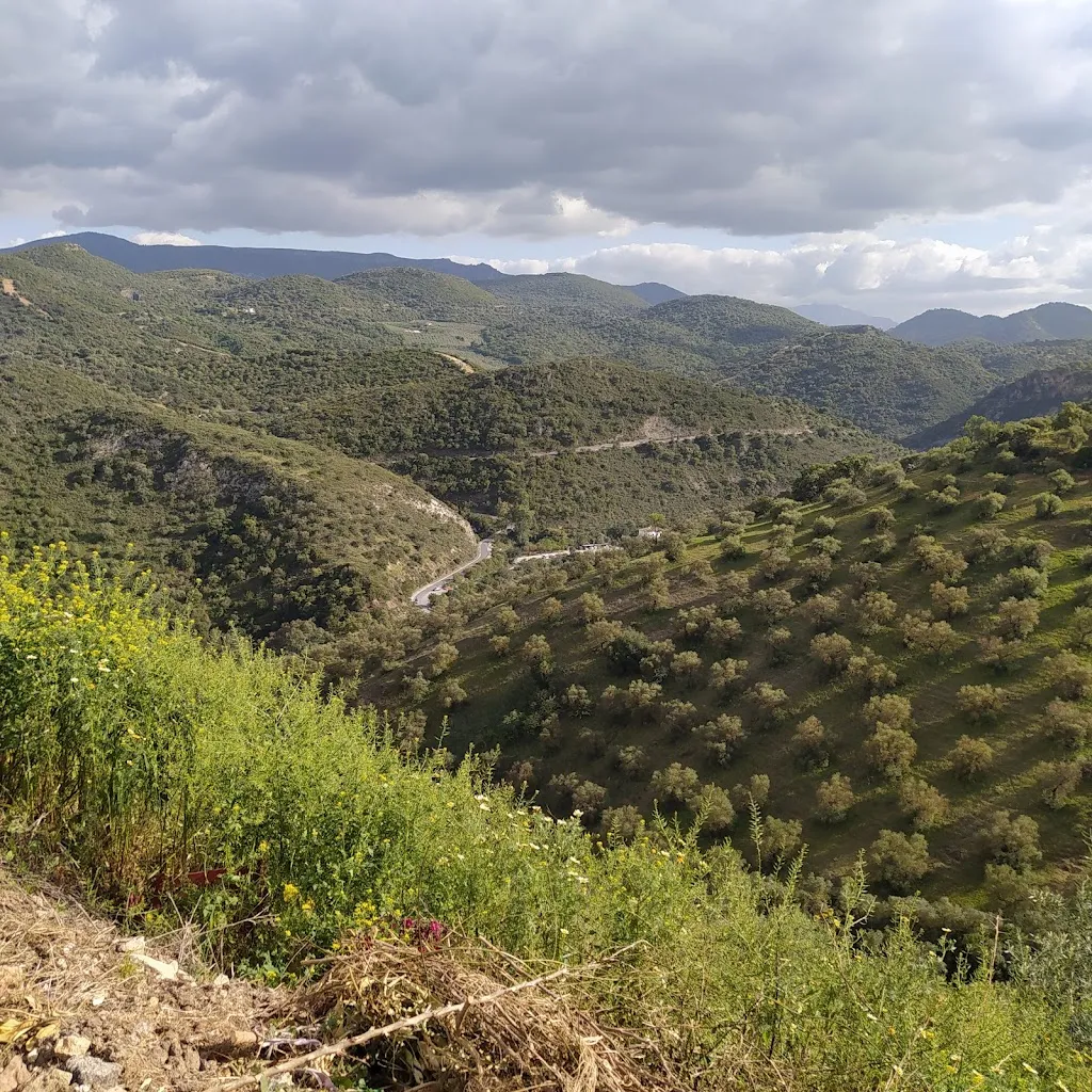 miguel angel_Ortega_Coripe_review