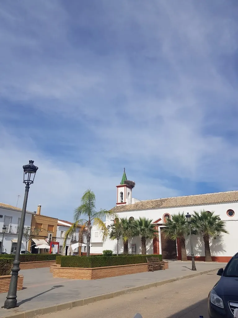 Bar Plaza_Coripe_slider_image_3