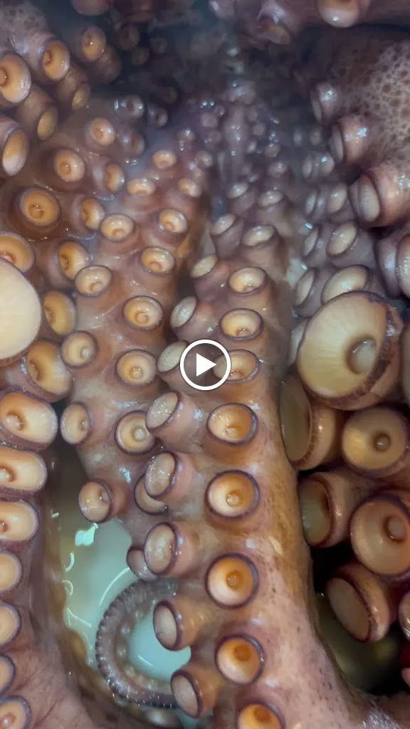 Hotel Restaurante Vía Sevilla-Cádiz_Cuervo de Sevilla El_slider_image_2