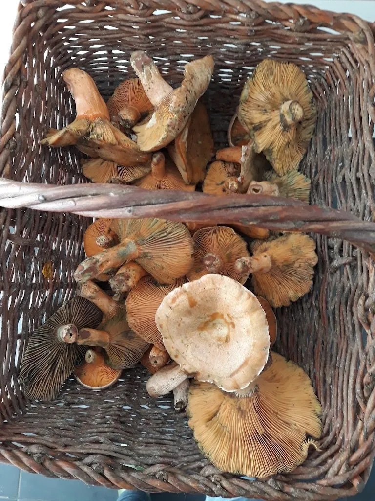 Menu_Restaurante A de Maruja_Cesuras_image_5