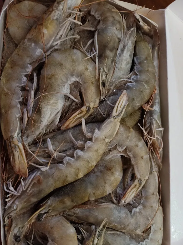 Menu_Bodeguita La Reja_Coria del Río_image_9