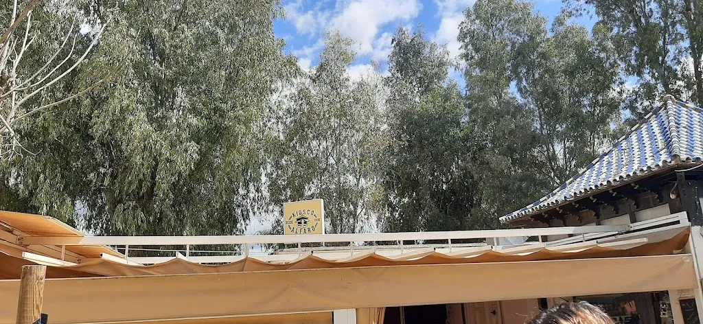 woman_travel_world_Kiosco Alfaro_Coria del Río_review