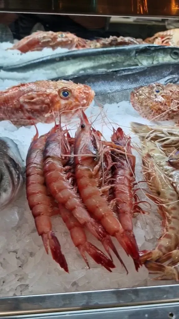 Cerveceria Sevruga_Coria del Río_slider_image_2