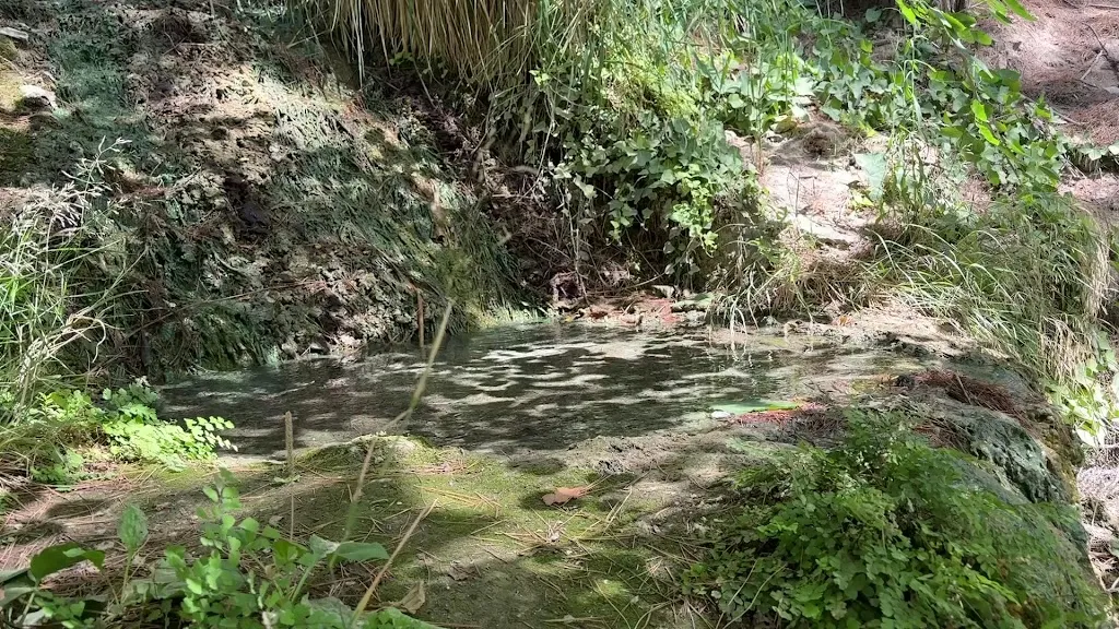 El Guardián_Balneario de Alicún De Las Torres_Alicún_review