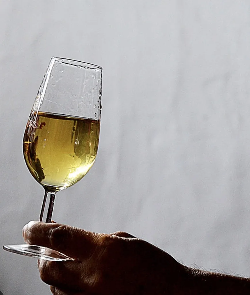 Menu_Sabores Nuestros_Coria del Río_image_3