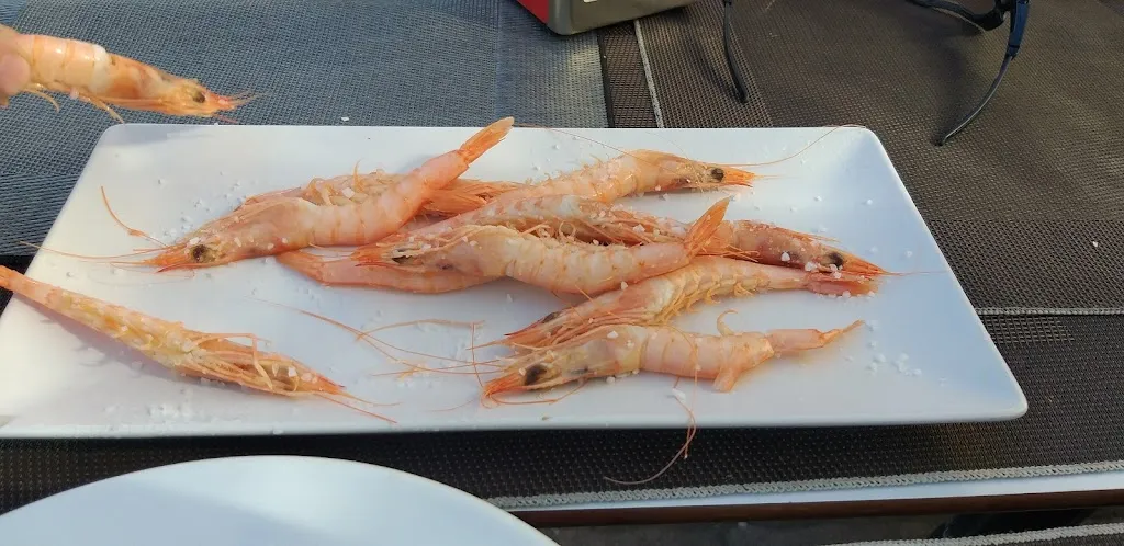 Menü_Bar Los Claveles_Coria del Río_Bild_5