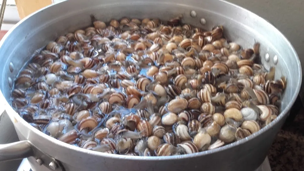 Menu_Bar El Piraña_Espartinas_image_9