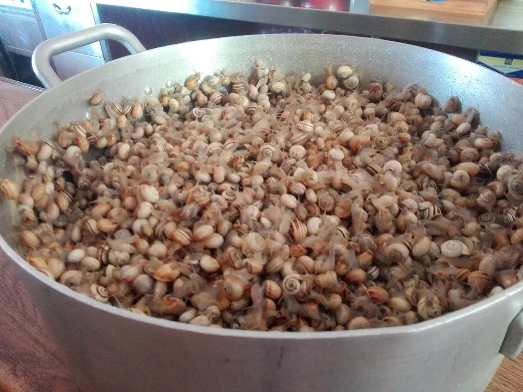 Bar El Piraña_Espartinas_slider_image_2