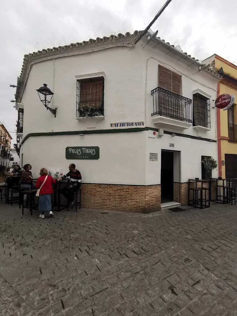 Raul Gavris_Taberna Pelos Tiesos_Écija_review