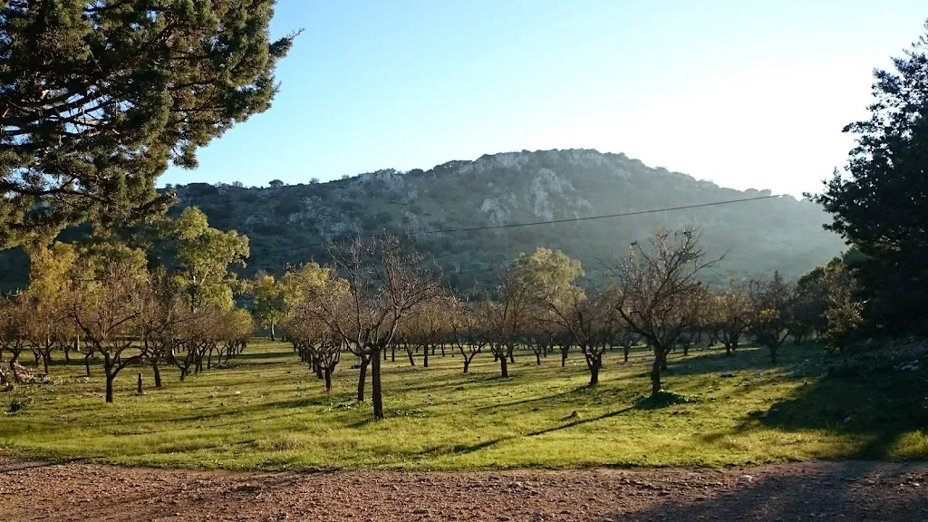 Hotel Restaurante Manantial de Roya_Estepa_slider_image_3