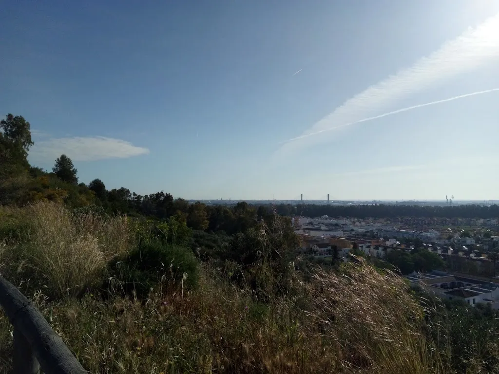 Meson Punto Y Coma Tapas_Gelves_slider_image_3