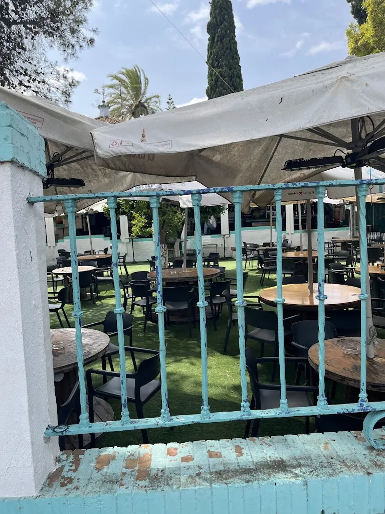 Polina Harkava_Desayunos y Coctelería Terraza Life Nature_Gines_review