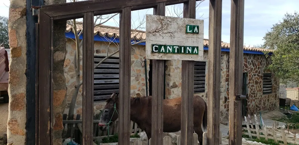 Jax_La Cantina Ruta del Agua. Guillena_Guillena_review