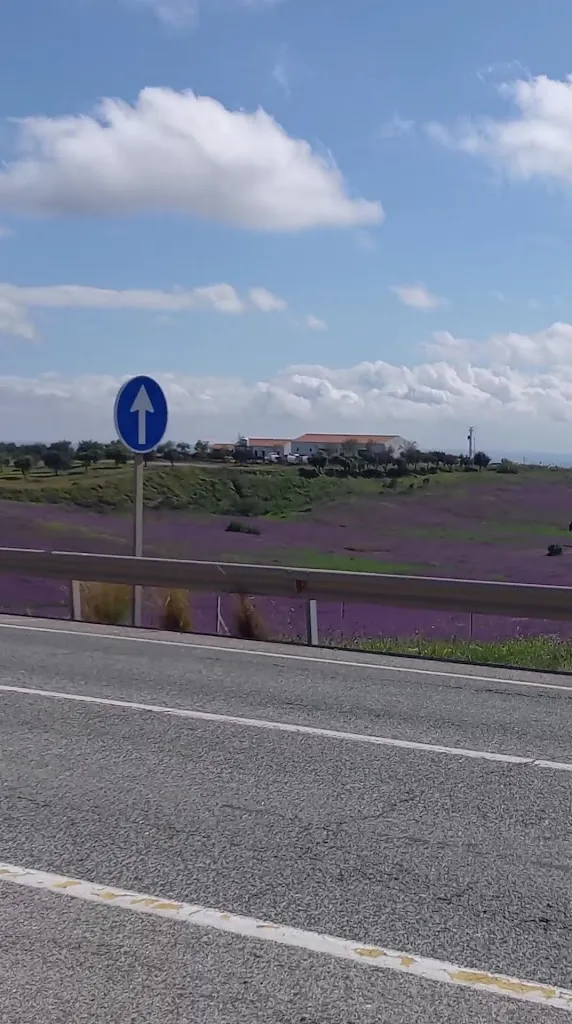 Patrick Van Den Noortgaete_Restaurante Entremontes_Guillena_recensione