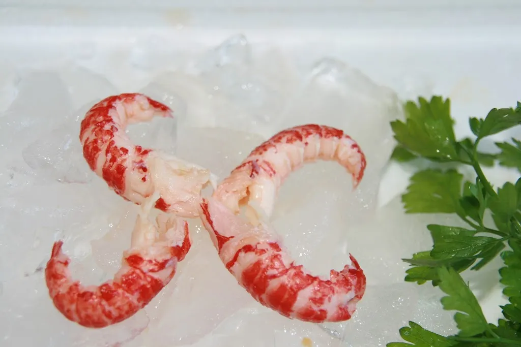 Emfacar, S.L._Isla Mayor_slider_image_2