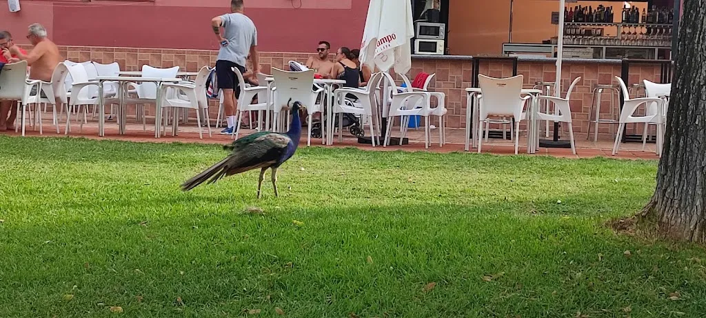 Restaurante Las Lagunas_Lora del Río_slider_image_3