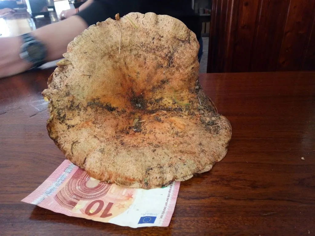 Menu_BAR MURUBE_Lora del Río_immagine_4