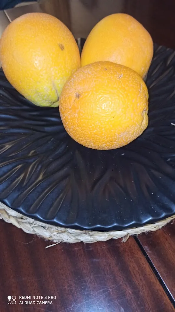 Menu_Hotel restaurante casapalaciega xix_Berja_image_4