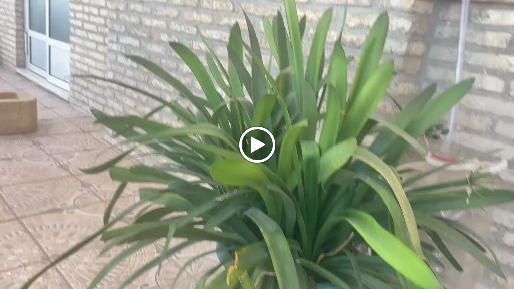 Venta Morilla_Marchena_slider_image_2